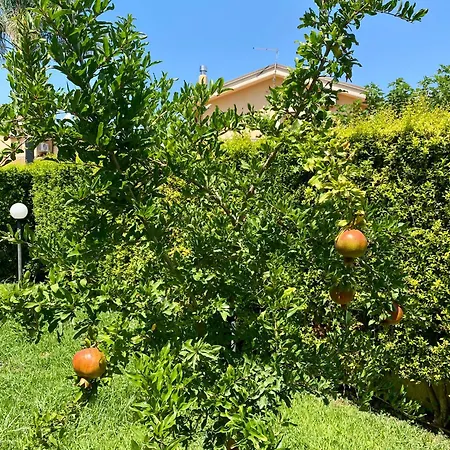 Casa Luky